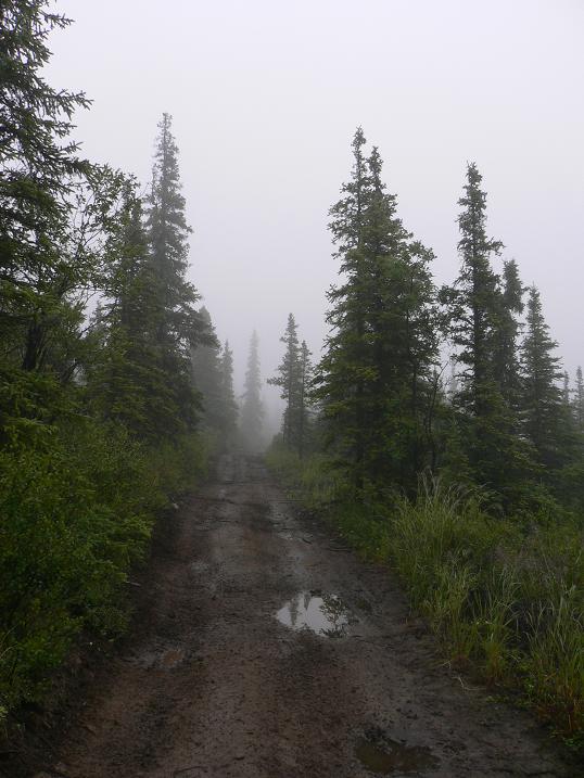 [trail-misty.JPG]