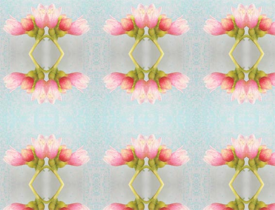 [Pink+Snowberries+2006+pattern.jpg]