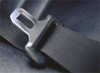 [seatbelt.jpg]