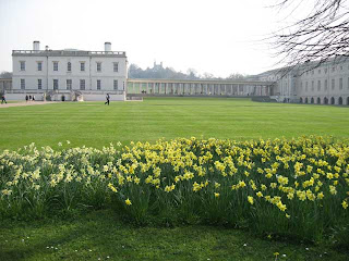 DAffodils in front of the Queen's House, Greenwich, with the Royal Observatory behind