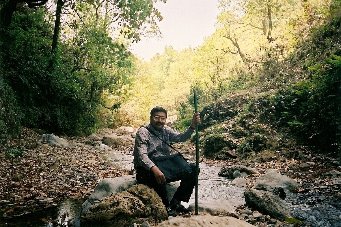 [mossy+stream+near+sadhubaba+cave.jpg]
