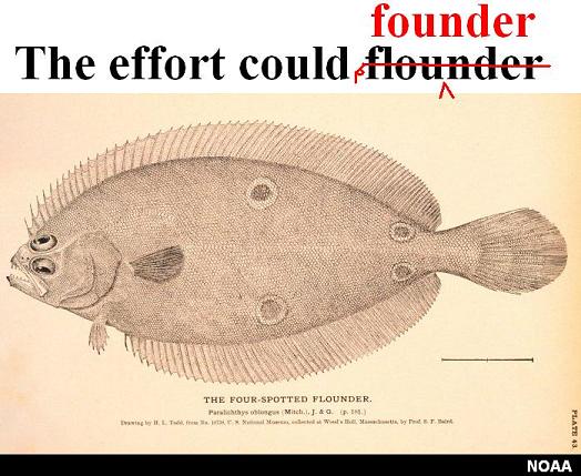 [flounder.JPG]