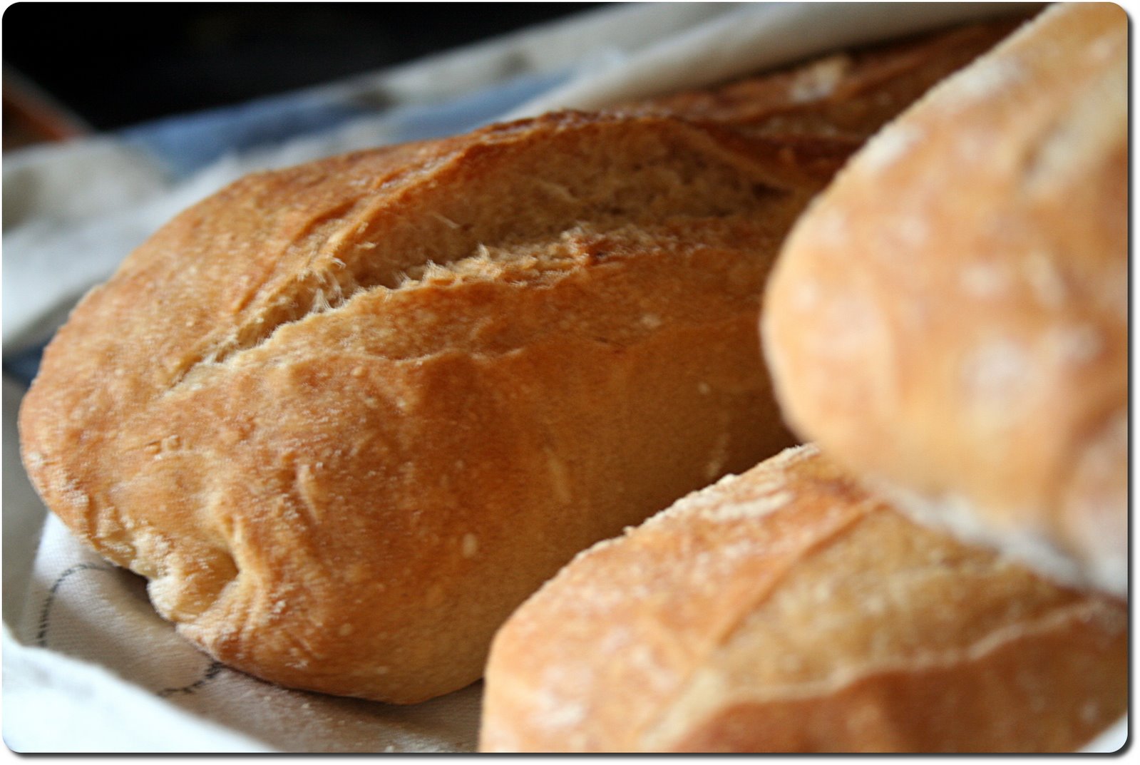 [french+bread+04.jpg]