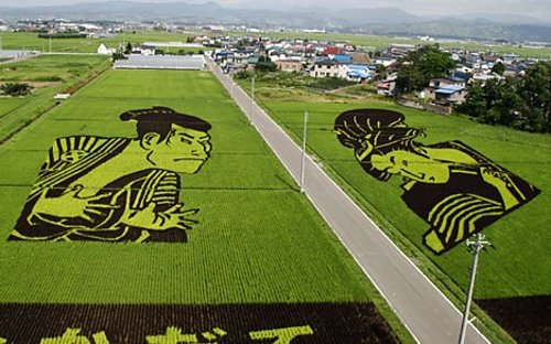 [rice-field-art-003.jpg]