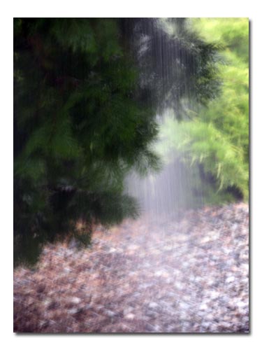 [downpour2.jpg]