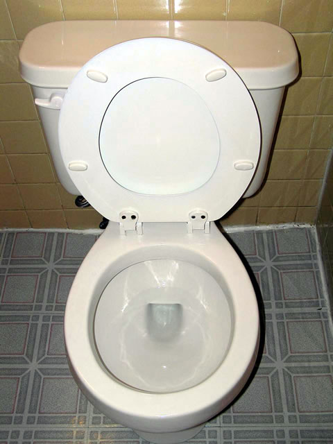[toilet2.jpg]