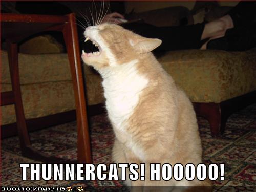 [funny-pictures-thundercats-scream.jpg]