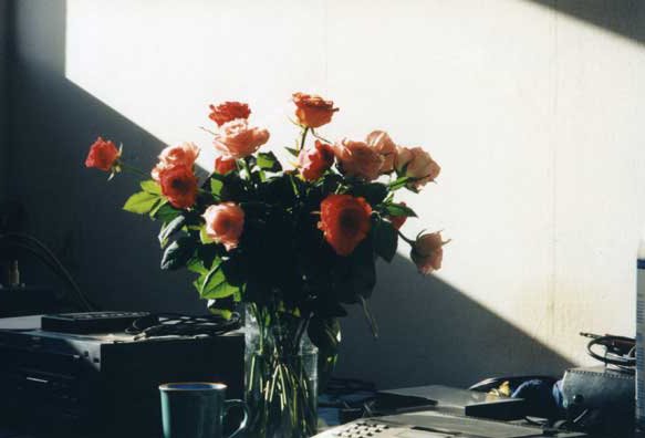 [Eindhoven-Apartment-Roses.jpg]