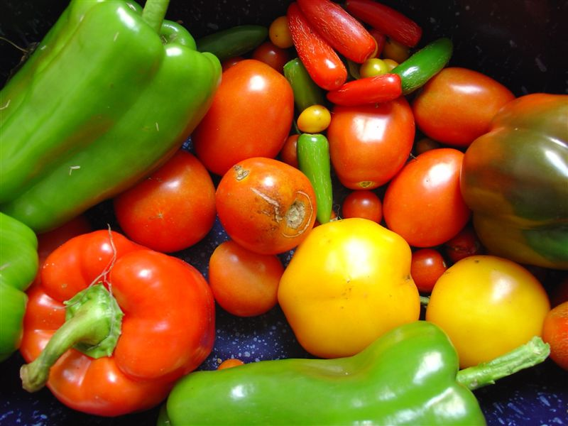 [Colorful_Photo_of_Vegetables.png]