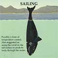 [whale_sailing-s.jpg]