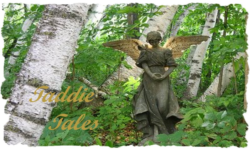 Taddie Tales