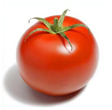 [tomate%20bis.jpg]