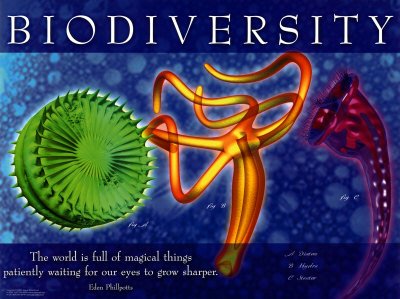 Día Internacional de la Diversidad Biológica