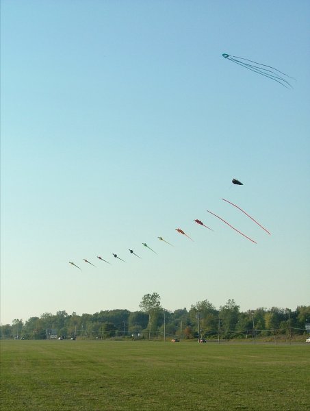[kite+flying+24575.jpg]