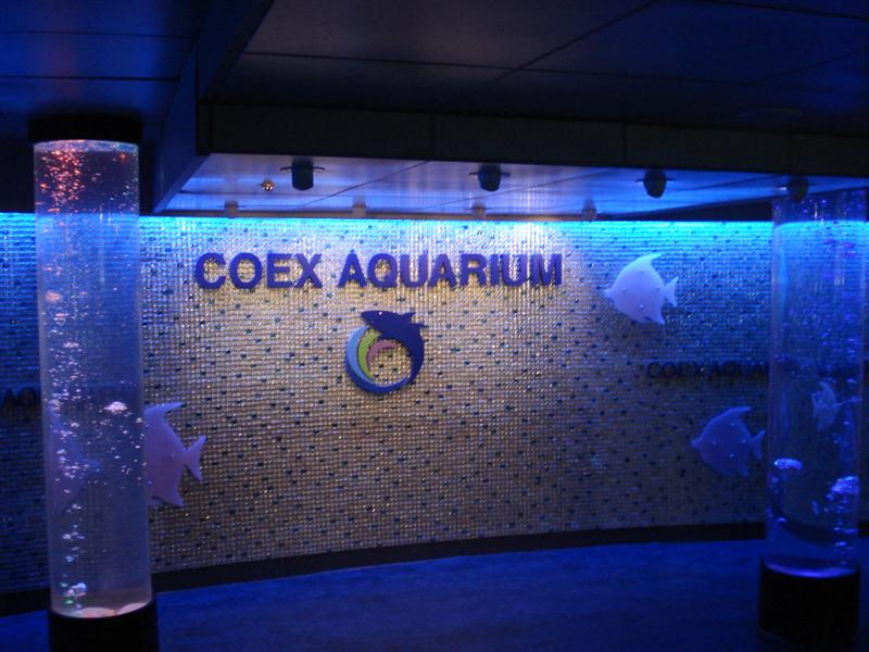[COEX+Aquarium+01+(Medium).JPG]