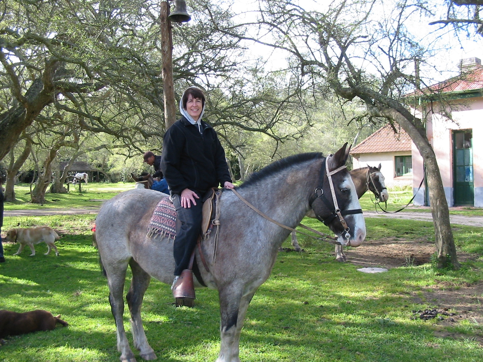[riding+horses+in+Argentina.JPG]