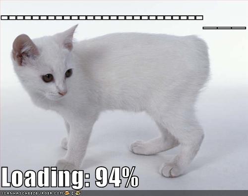 [white-no-tail-cat-loading.jpg]