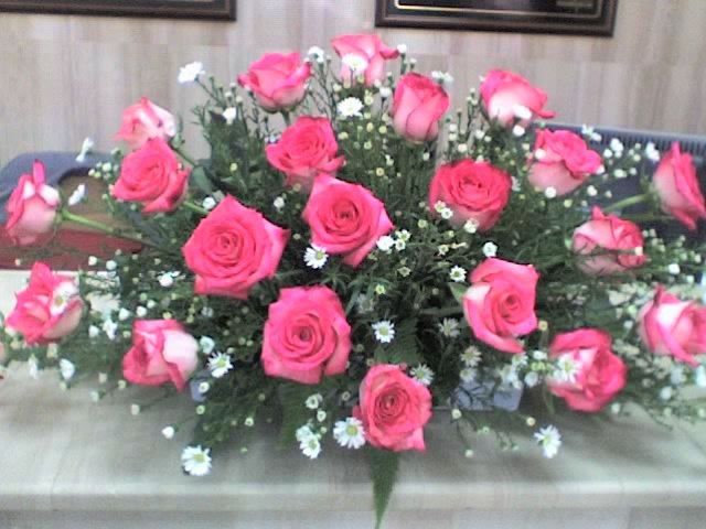[pink+roses.JPG]