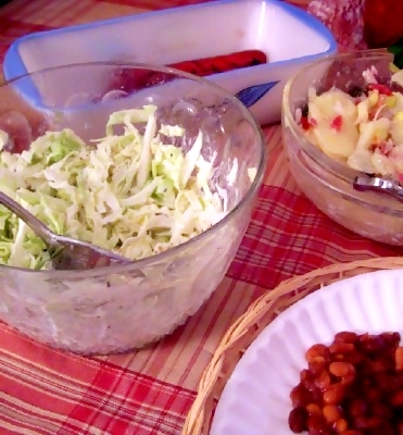 [indoor-picnic-hotdogs-german-potato-salad-baked-beans.jpg]