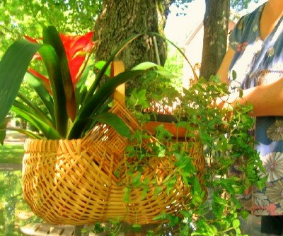 [putting-plants-in-tropical-plant-basket.jpg]