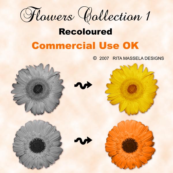 [rm-preview-flowerscollection1.jpg]
