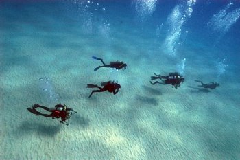 [Reefgliders_divers.jpg]