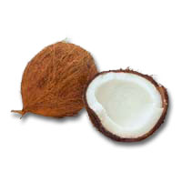 [coconut1.jpg]