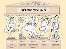 Signos cardinales de la inflamación