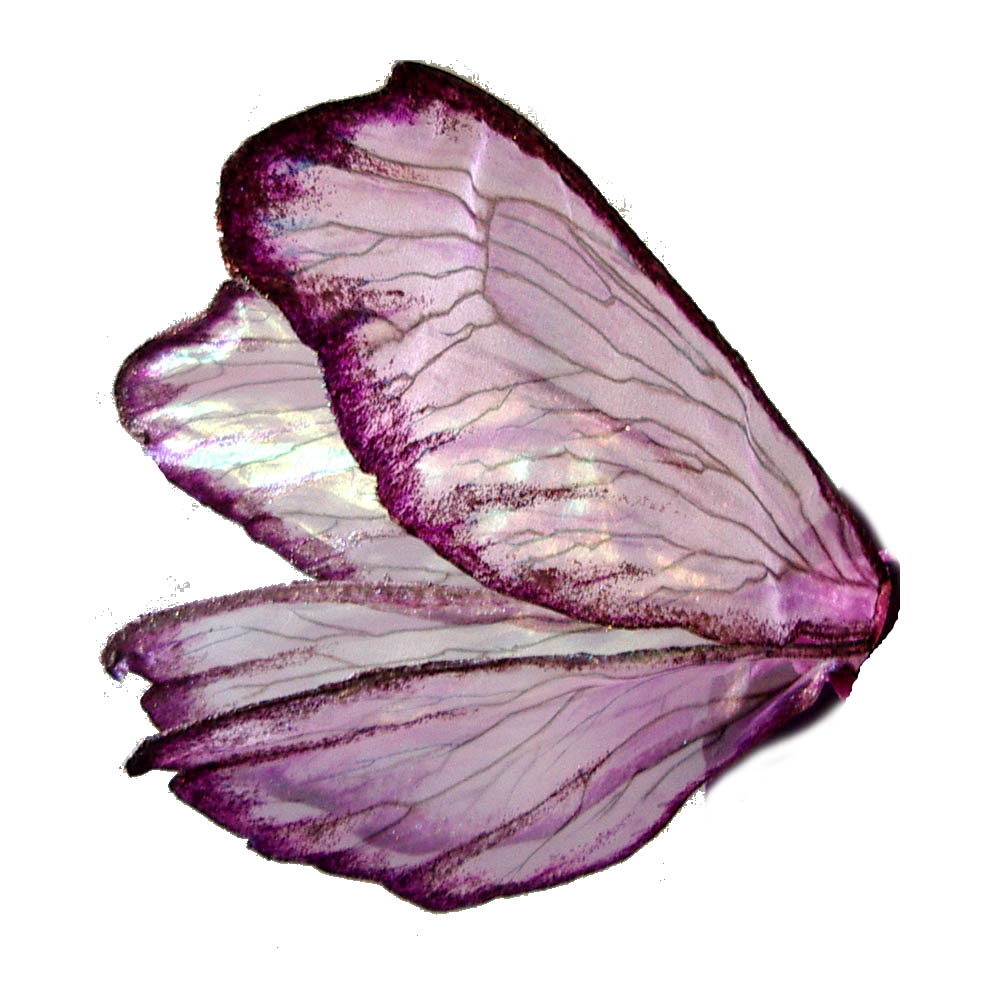 [pink+faerie+wings+profile.jpg]