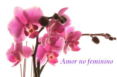 [-flores+rosa-+amor.jpg]