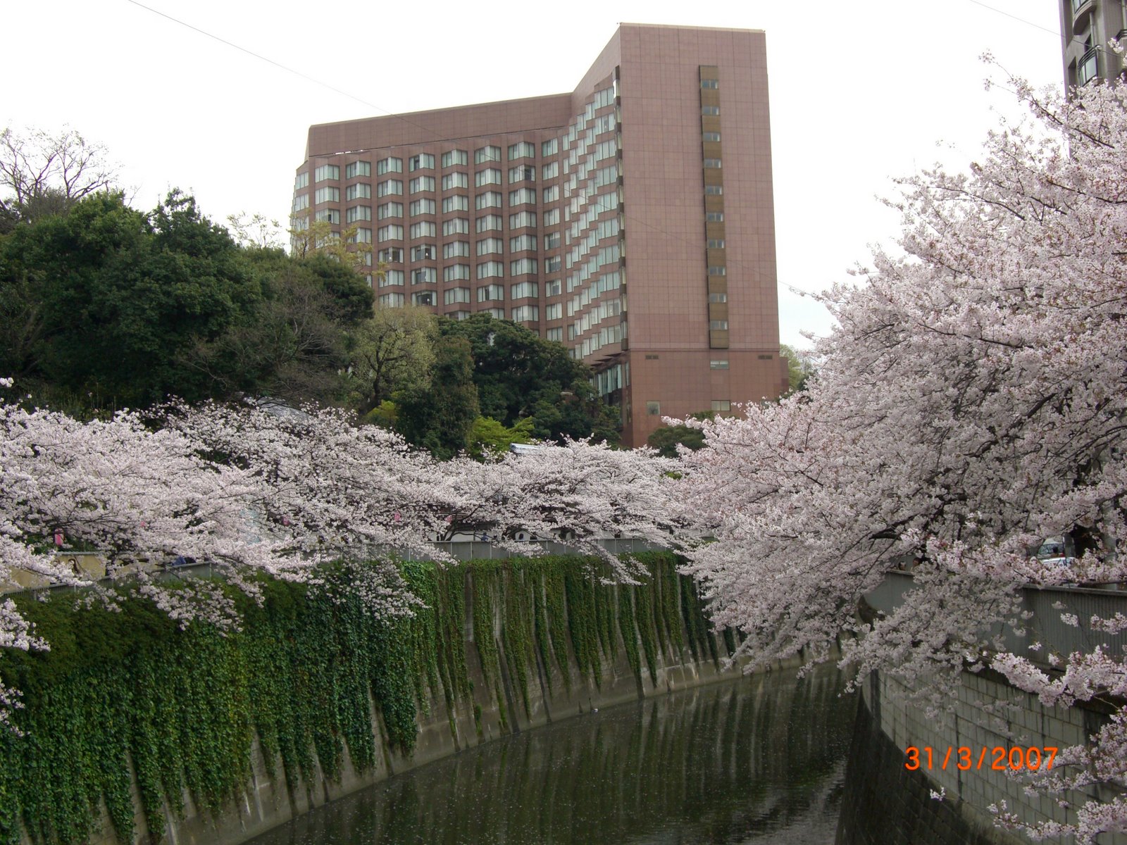 [Tokyo+2007+Spring+002.jpg]
