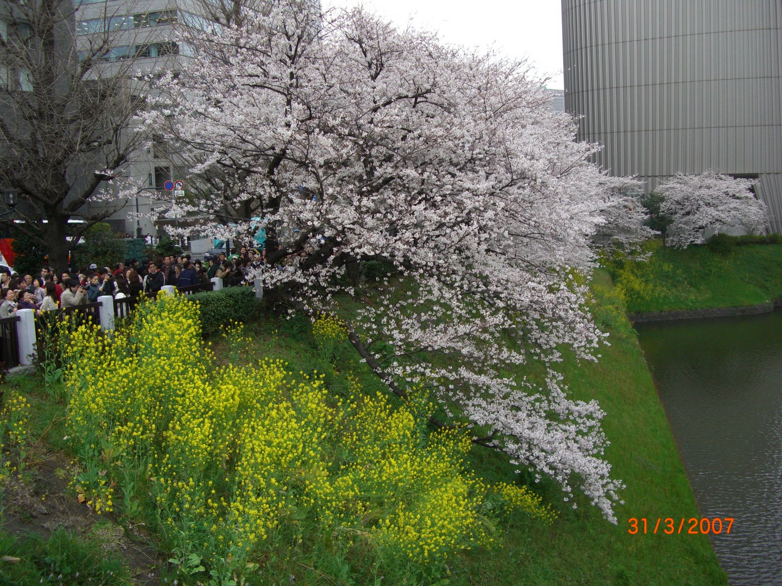 [Tokyo+2007+Spring+009.jpg]