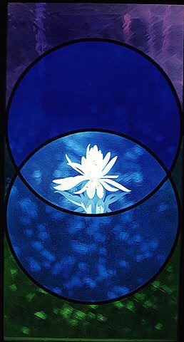 [Floating+lotus+stained+glass.jpg]