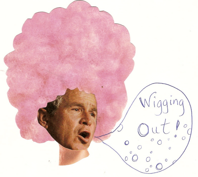 [Bush+wigs+out+in+pink.jpg]