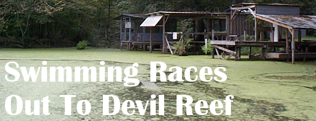 Swimming Races Out To Devil Reef