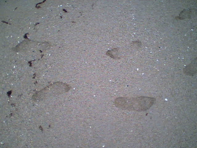 urme pe nisip