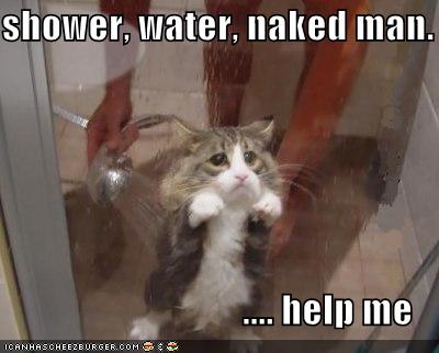 [funny-pictures-cat-shower-naked-man.jpg]