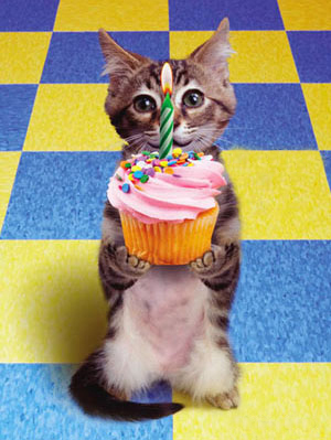 [birthday_cupcake-WEB.jpg]