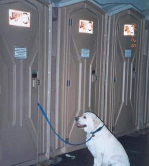 [dog+bathroom.jpg]