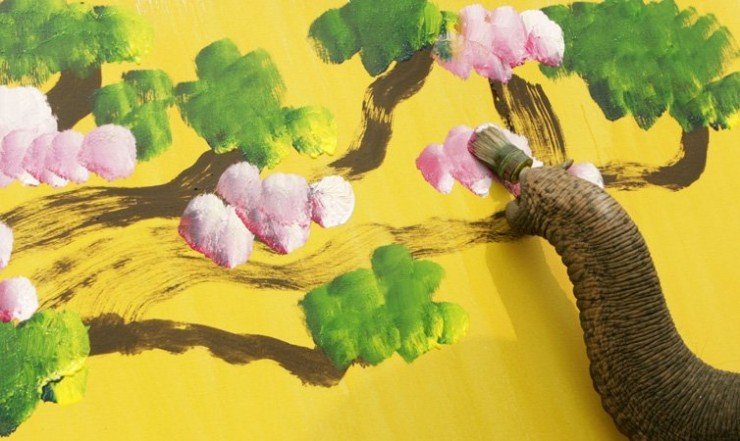 [elephant+painter.jpg]