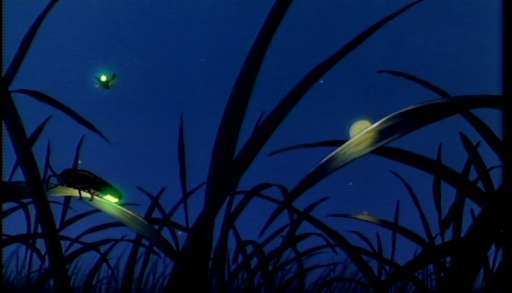 [fireflies.jpg]