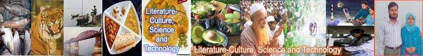 Literature-Culture + Health & Wealth + Religion, Science and Technology