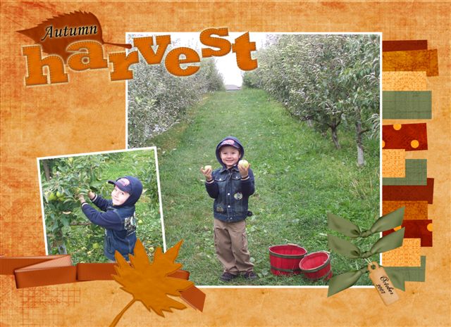 [Autumn+Harvest.jpg]