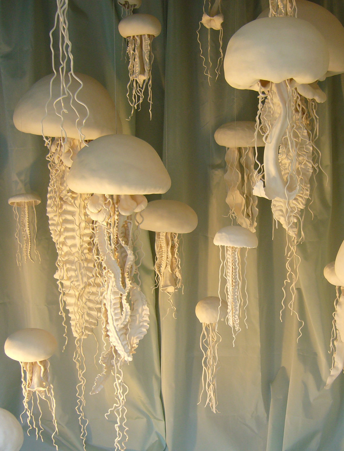 [jellyfish3.jpg]