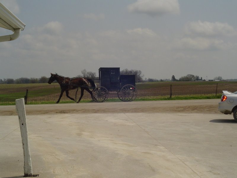 [Amish+Buggy.jpg]