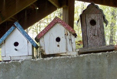 [birdhouses1.jpg]