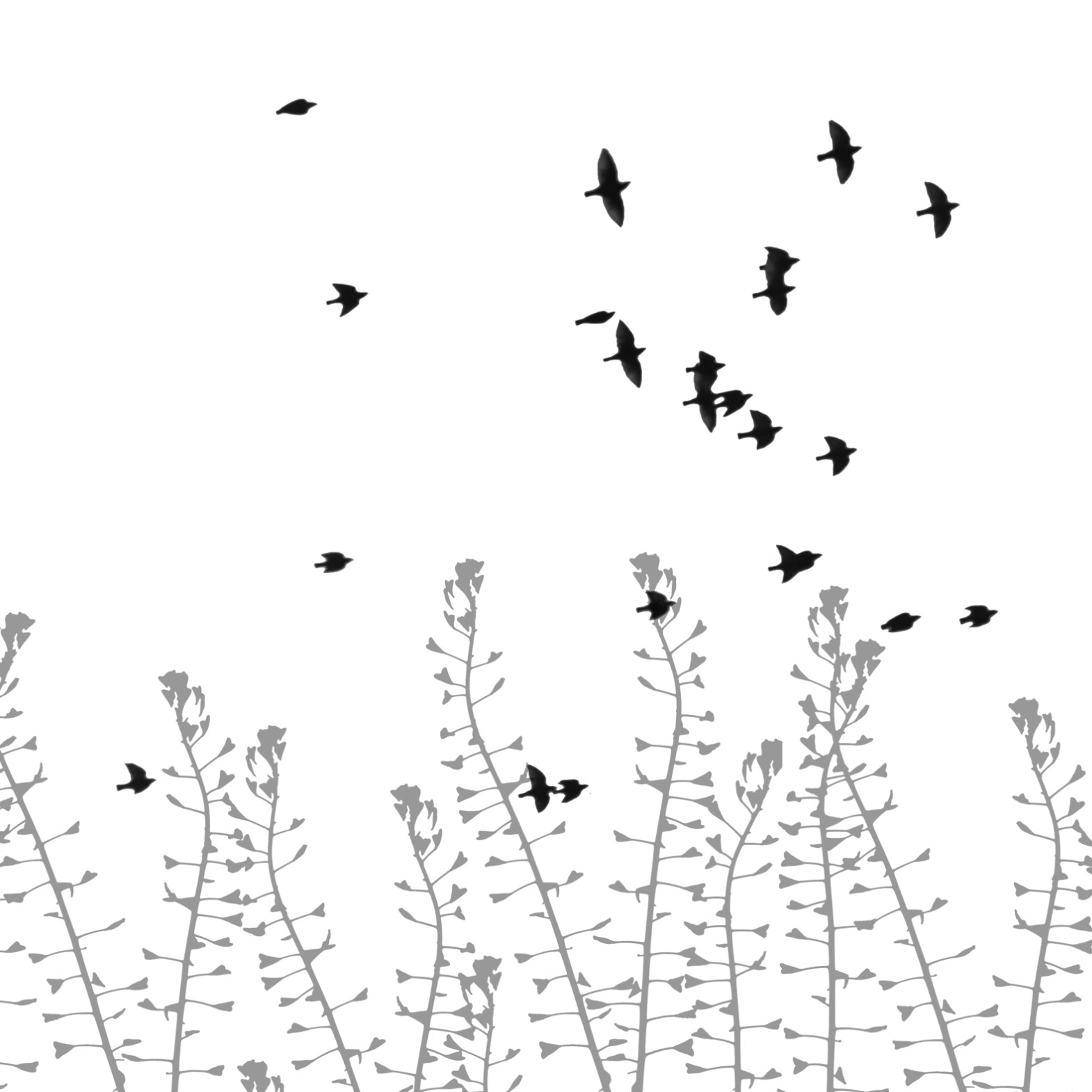 [birds+and+weeds.jpg]