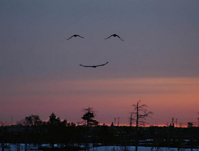 [Nature+smiling.jpg]