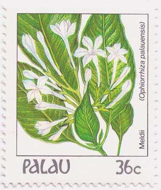 [Ophiorrhiza+palauensis+Palau+SFW.jpg]