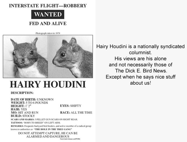 Hairy Houdini Blog